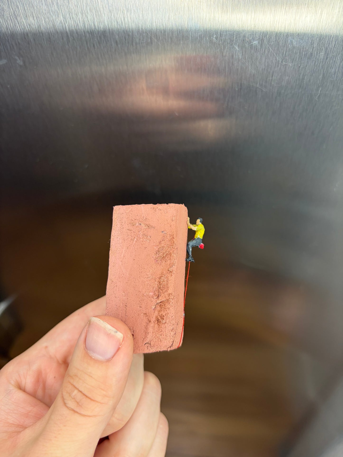 Desert Micro Climber Magnet