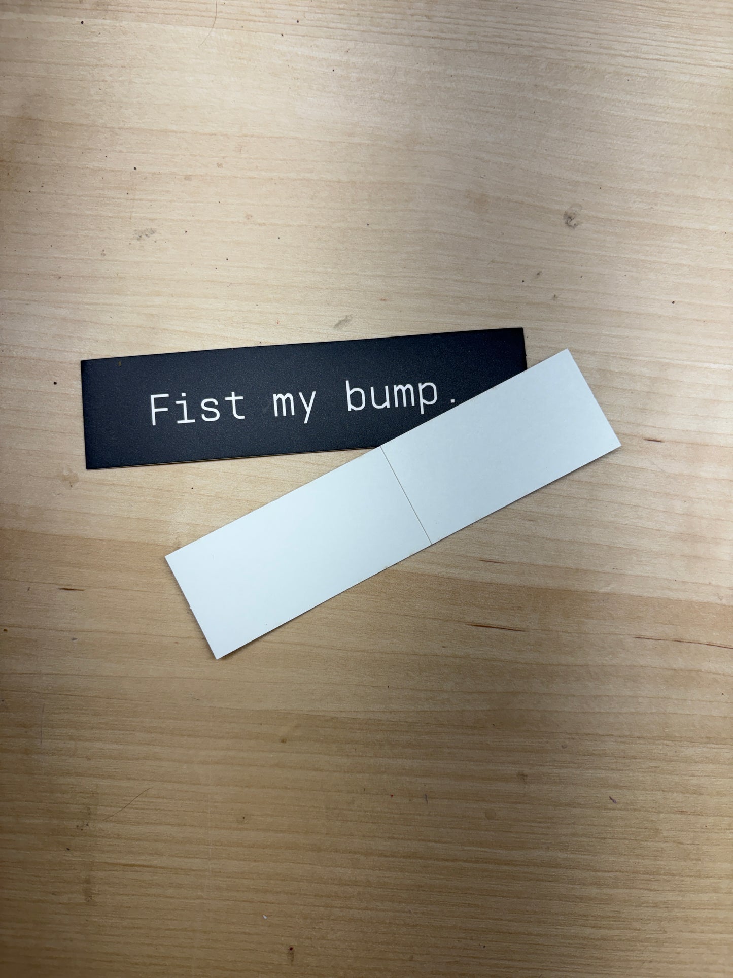 Fist my Bump Project Hail Mary 4x1 Sticker